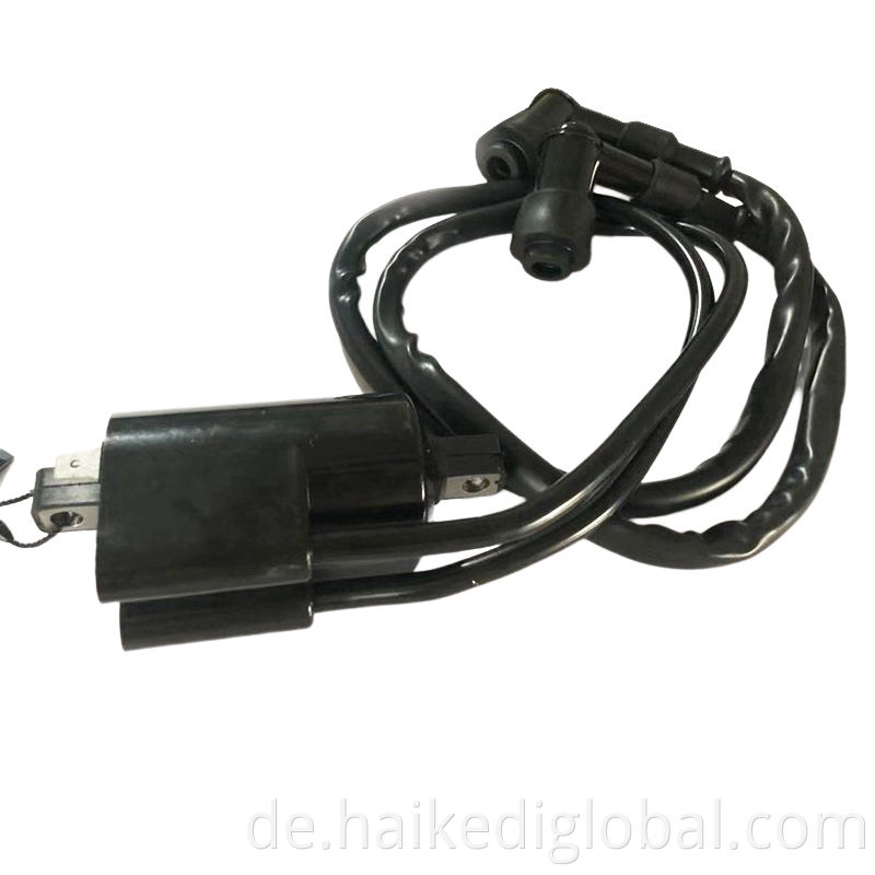 Motorcycle Double Head High Pressure Pack Igniter